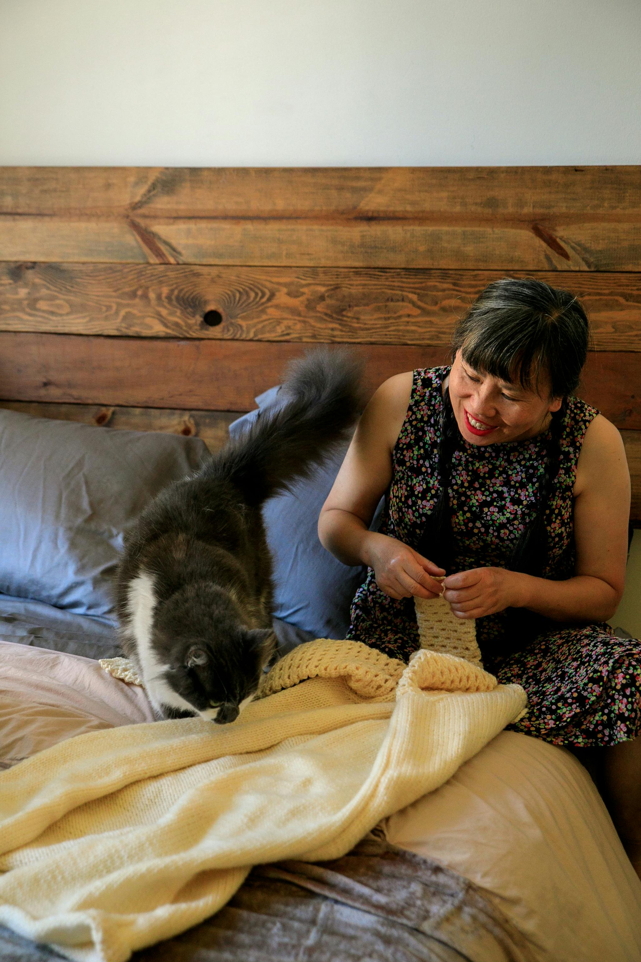 Cat Skills Photos Download The BEST Free Cat Skills Stock Photos HD cat-skills-photos-download-the-best-free-cat-skills-stock-photos-hd