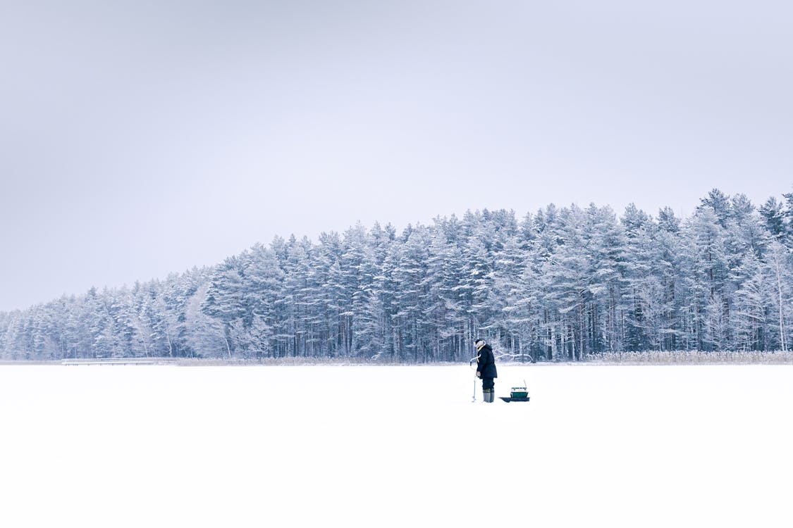 Free stock photo of cold, drilling, fishing pictures, fog, forest, frost,  frozen, hill pictures, ice, ice fishing, lake, landscape images, man,  outdoors, person, season, snow, snowstorm, snowy, tree, weather, white,  winter