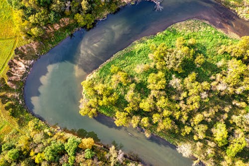 Imagine de stoc gratuită din apă curgătoare, arbori, codru