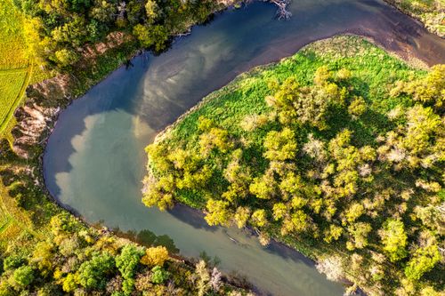 Free Aerial shot capturing a meandering river through a vibrant forest, showcasing lush greenery and natural beauty. Stock Photo