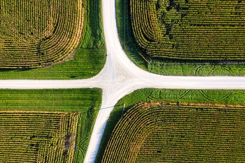 A stunning aerial photograph showcasing a rural crossroad amidst vivid green cornfields.
