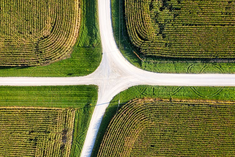 Country Crossroad In Crop Field