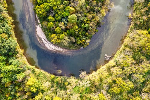 Photos gratuites de été, fleuve, forêt