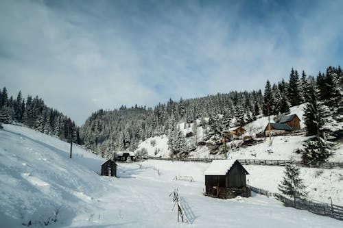 Houses in a Valley under Cloudy Sky