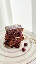 Chocolate Cake on White Ceramic Plate