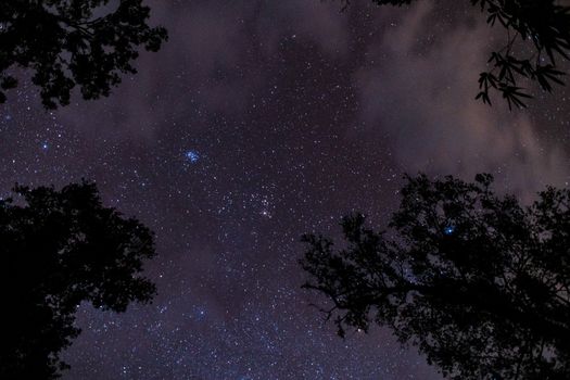 Faszinierende Bäume & Himmel – Weltraum Hintergrundbild
