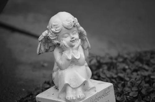 De franc Foto d'estoc gratuïta de àngel ales, blanc i negre, cementiri Foto d'estoc