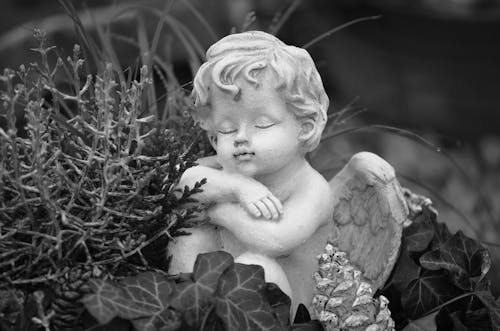 Woman With Wings Statue Grayscale Photo · Free Stock Photo