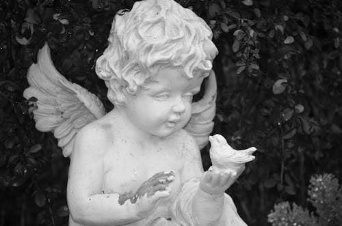 Black and White Photo of an Angel and Bird Sculpture