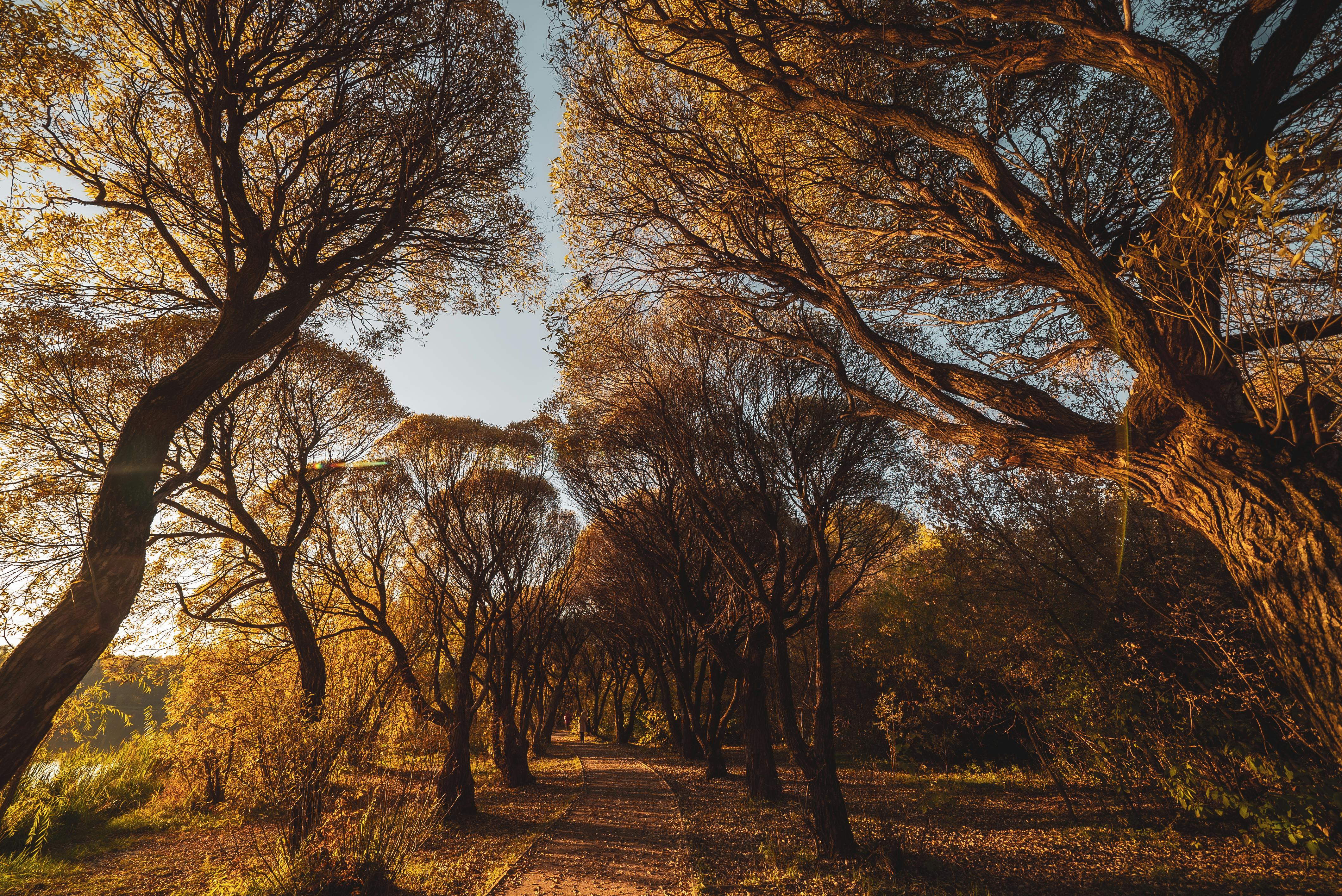 Screen Time Reduction