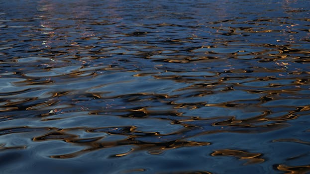 Close-up of calm water with ripples reflecting sunset light.