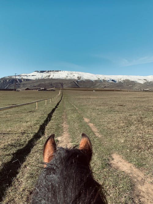 Gratis stockfoto met uitkijk berg