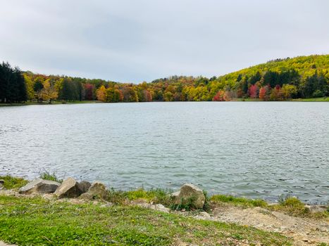 Discover the serene autumn beauty of a lake surrounded by vibrant foliage in Bovard, PA.