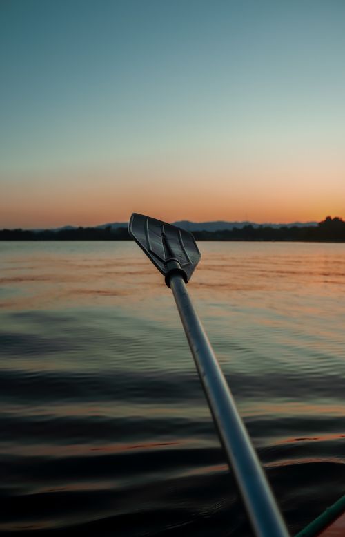 Free Close-up of a paddle on a tranquil lake during sunrise, capturing the serene beauty of nature. Stock Photo