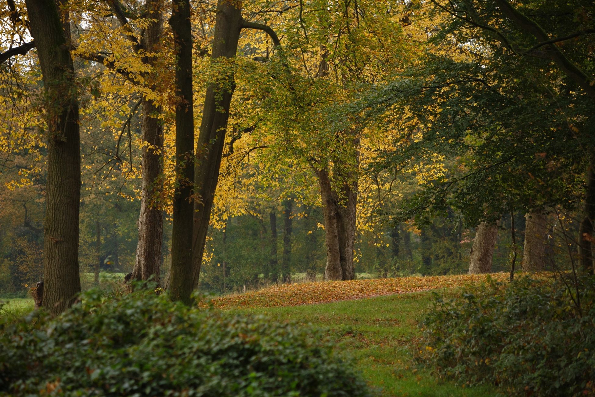 Activiteiten in Gelderland dit weekend