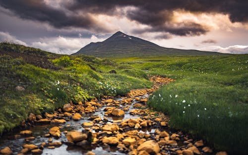 Gratis stockfoto met berg, decor, gras