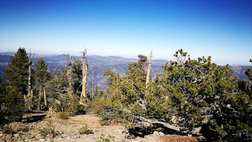 Photos gratuites de étendue sauvage, montagnes