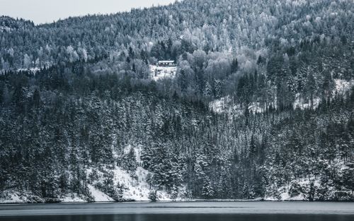 Free A solitary cabin amidst a snowy forest in Norway, showcasing winter's serene beauty. Stock Photo