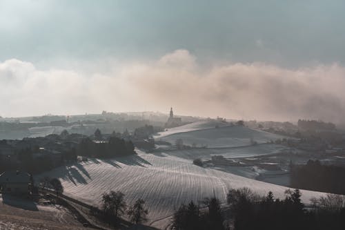 Rural Landscape in Winter