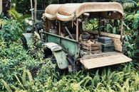 Brown Vintage Car on Green Grass Field
