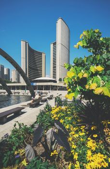 Beautiful view of Toronto City Hall with a lush garden and summer blue sky.