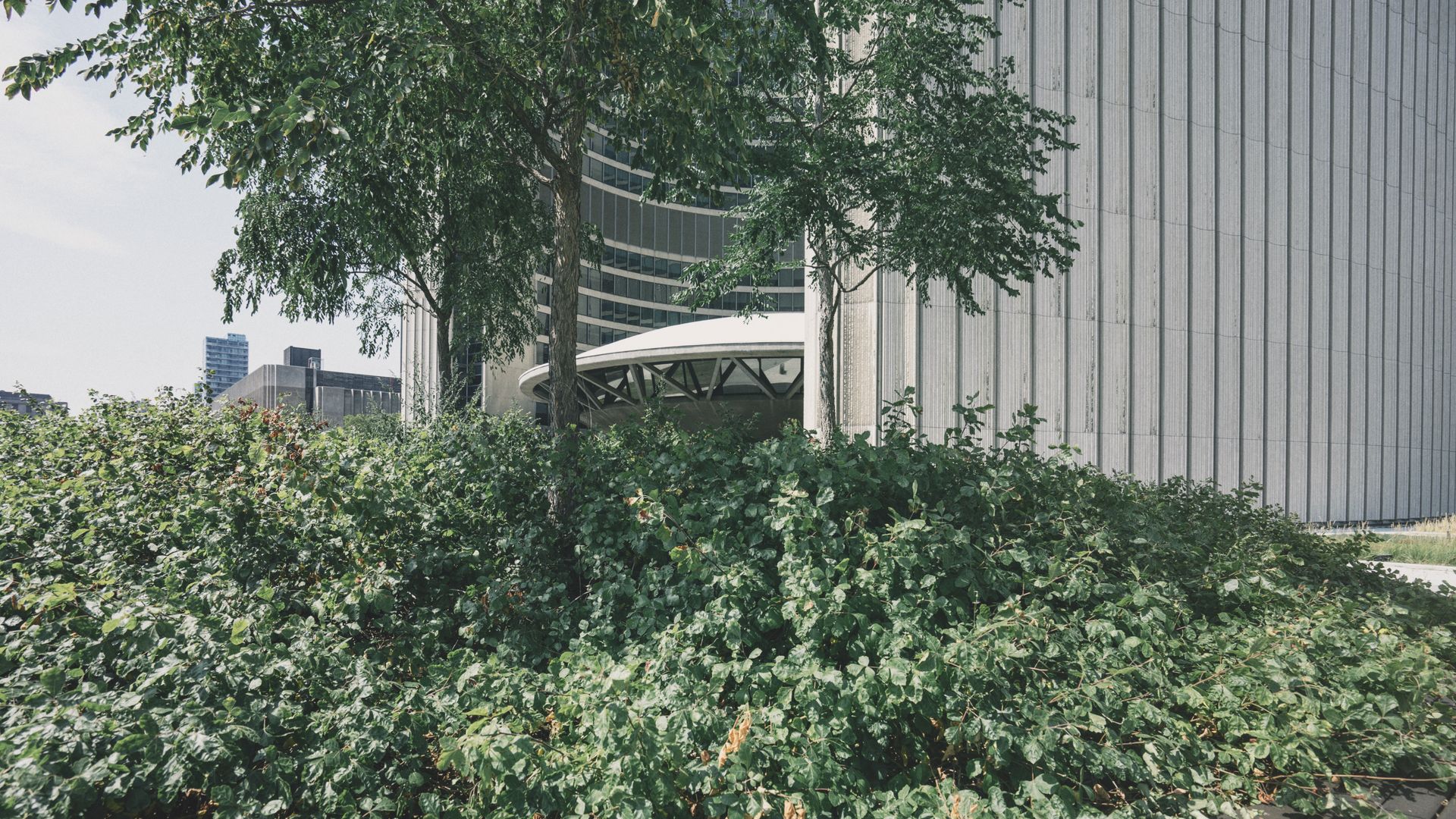 Lush greenery contrasts with the modern architecture in Toronto's urban landscape.