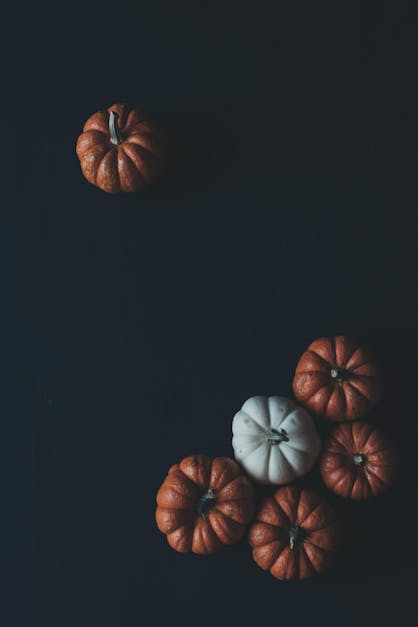 One and Five Brown Pumpkins