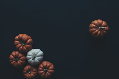 Photo of Brown and White Pumpkins