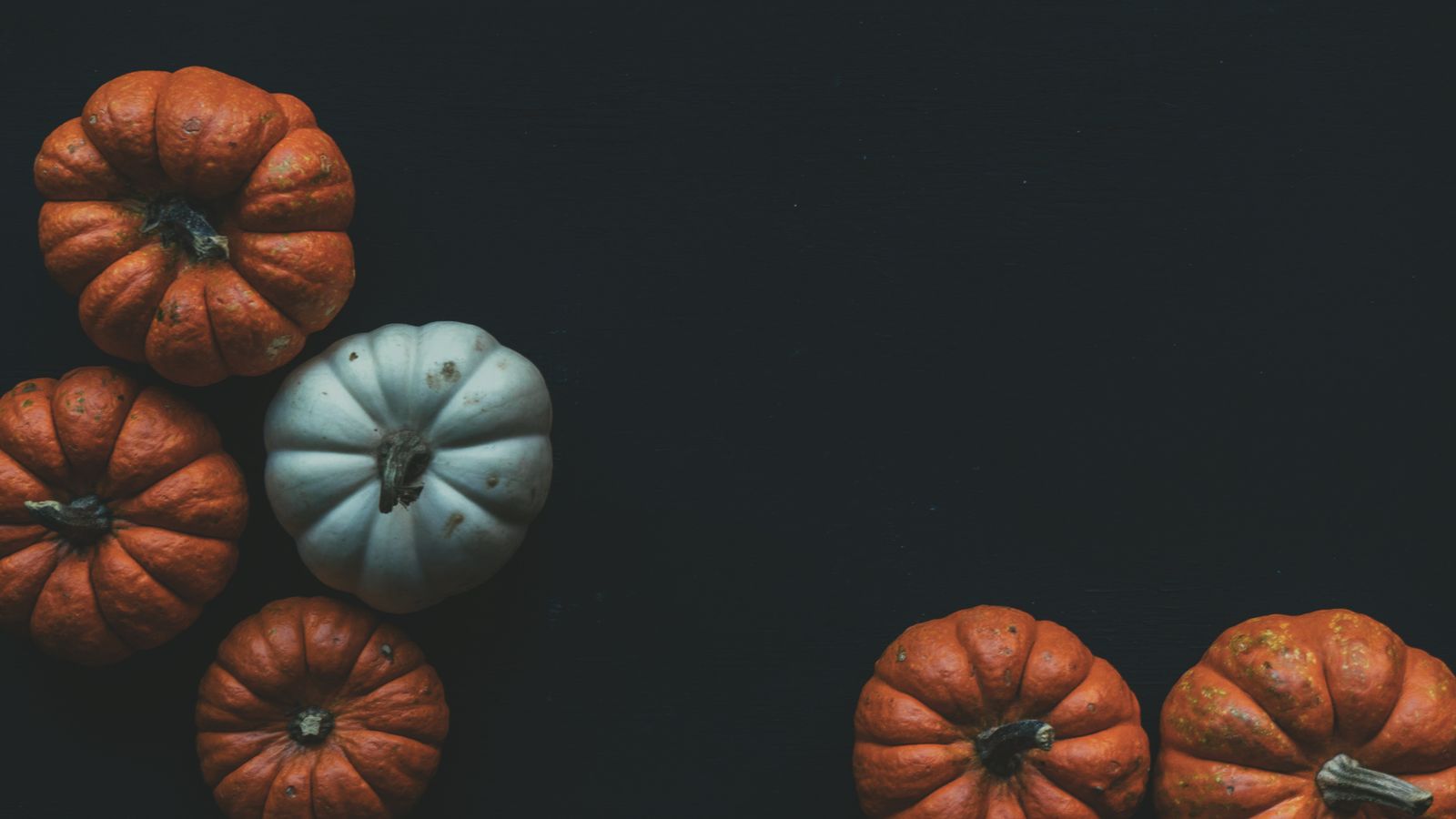 Orange and White Pumpkins on a Dark Backdrop Halloween MacBook wallpaper 4K