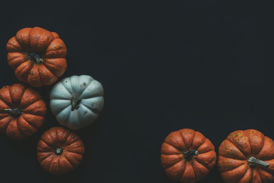 A collection of orange and white pumpkins against a dark backdrop, perfect for autumn themes.