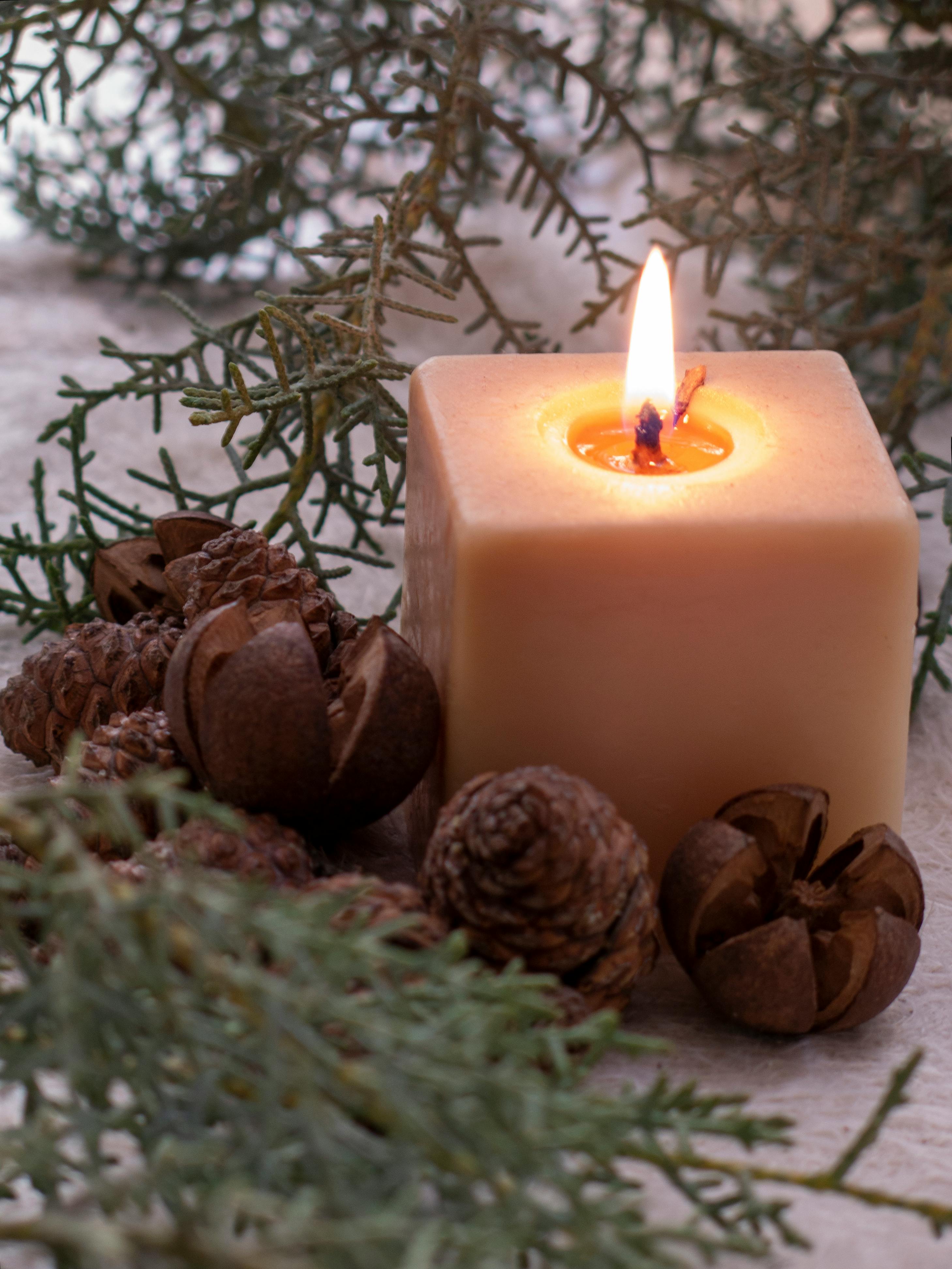 Wax Candle and Nuts · Free Stock Photo