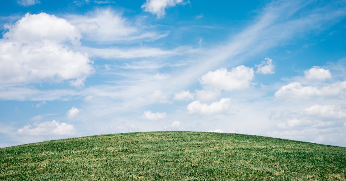 How much does the earth weigh in kilograms