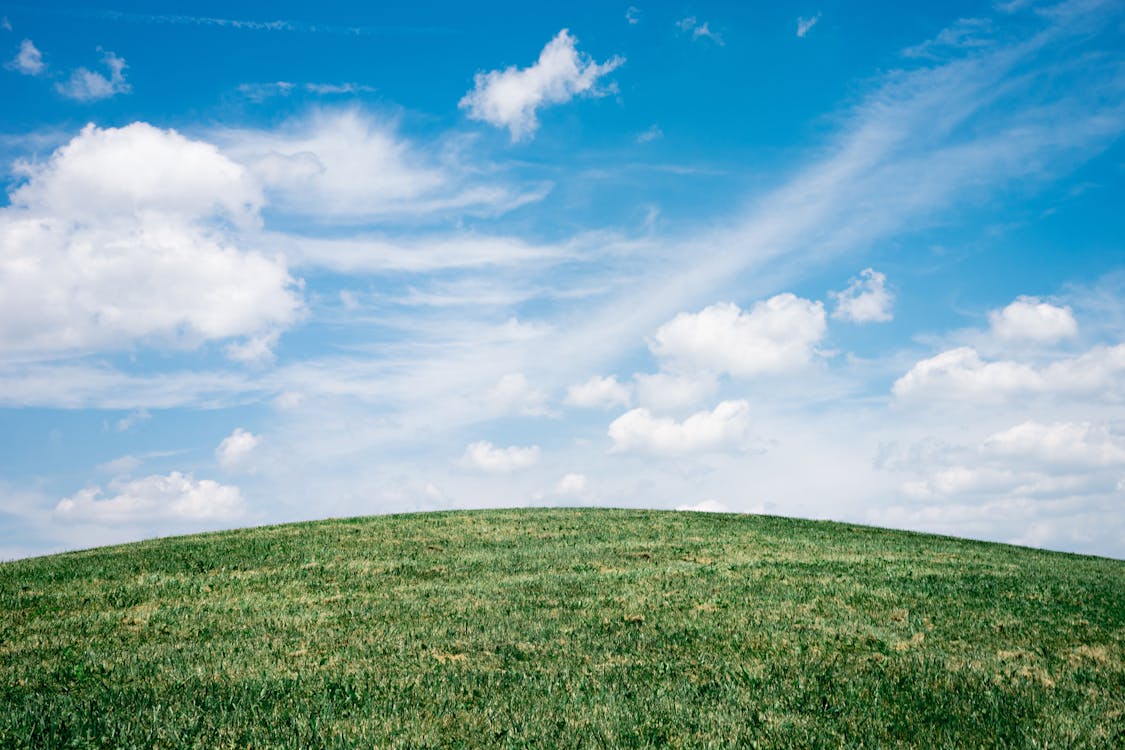 Champ D'herbe Verte Sous Les Nuages Blancs