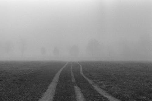 Grayscale Photo of a Foggy Weather Over the Grassland
