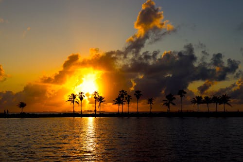 Бесплатное стоковое фото с закат, пальмовые деревья, предзакатный час