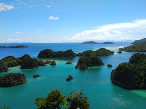 Cape Kri reef dive (world record) — Raja Ampat