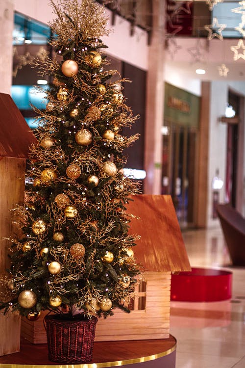 Free stock photo of christmas, christmas tree