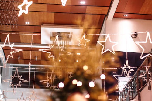 Free stock photo of christmas, christmas star