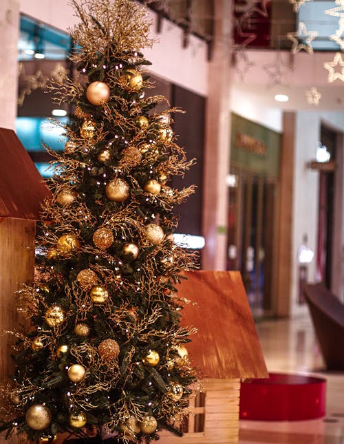 Free stock photo of christmas, christmas atmosphere, christmas tree