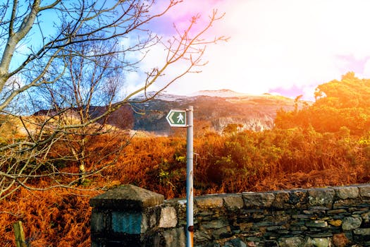 探索以步行标志、树木和山脉为背景的充满活力的秋季景观