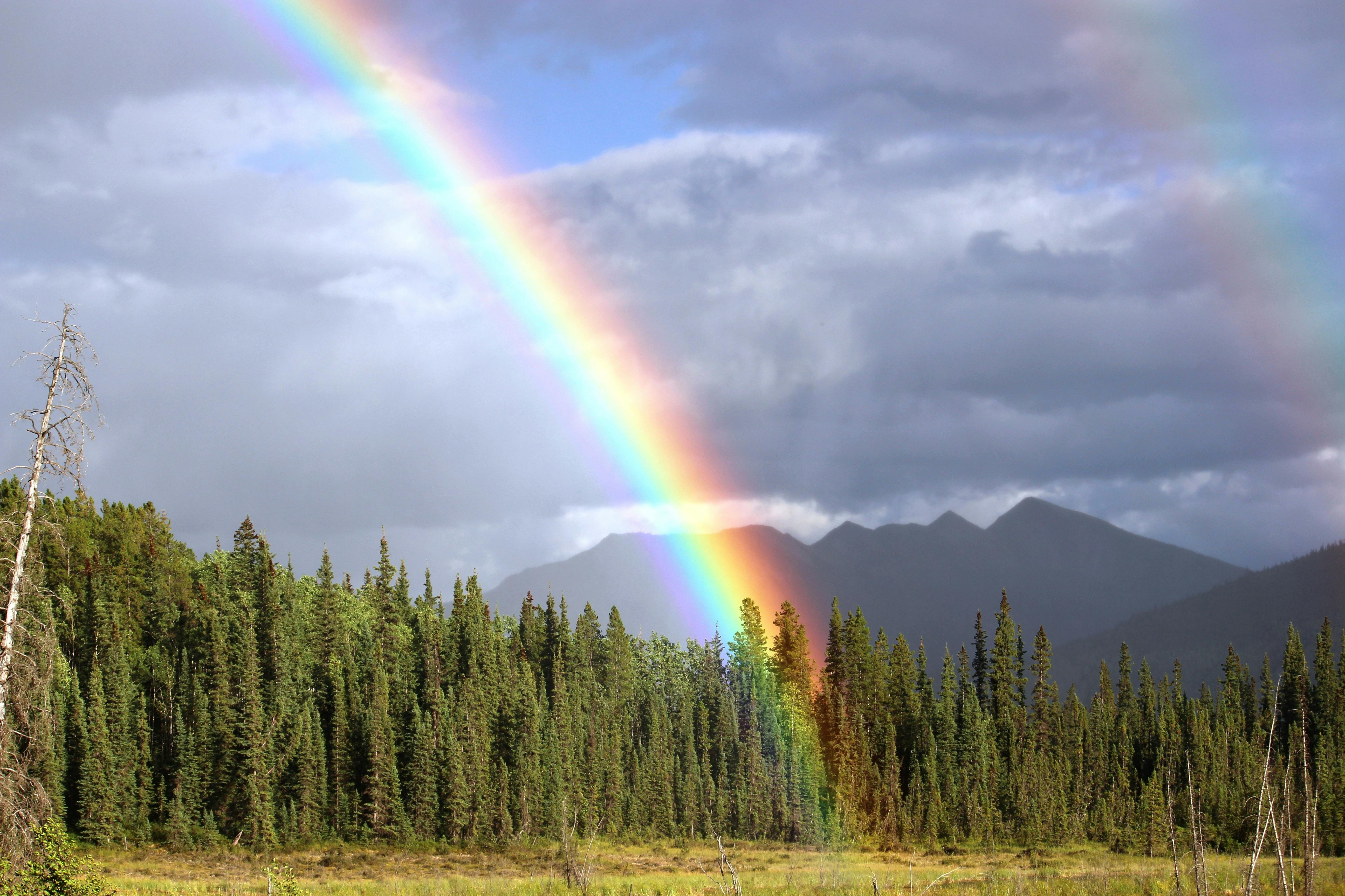 Amazing Double Rainbow Wallpaper Desktop Wallpaper Free Download Amazing Double Rainbow Wallpaper Desktop Wallpaper Free Download