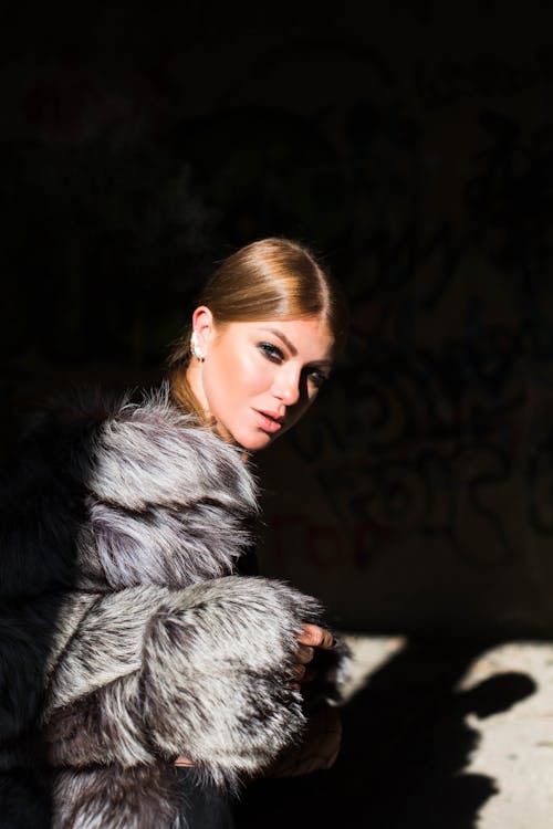 Fotos de stock gratuitas de abrigo de piel, glamour, luz y sombra