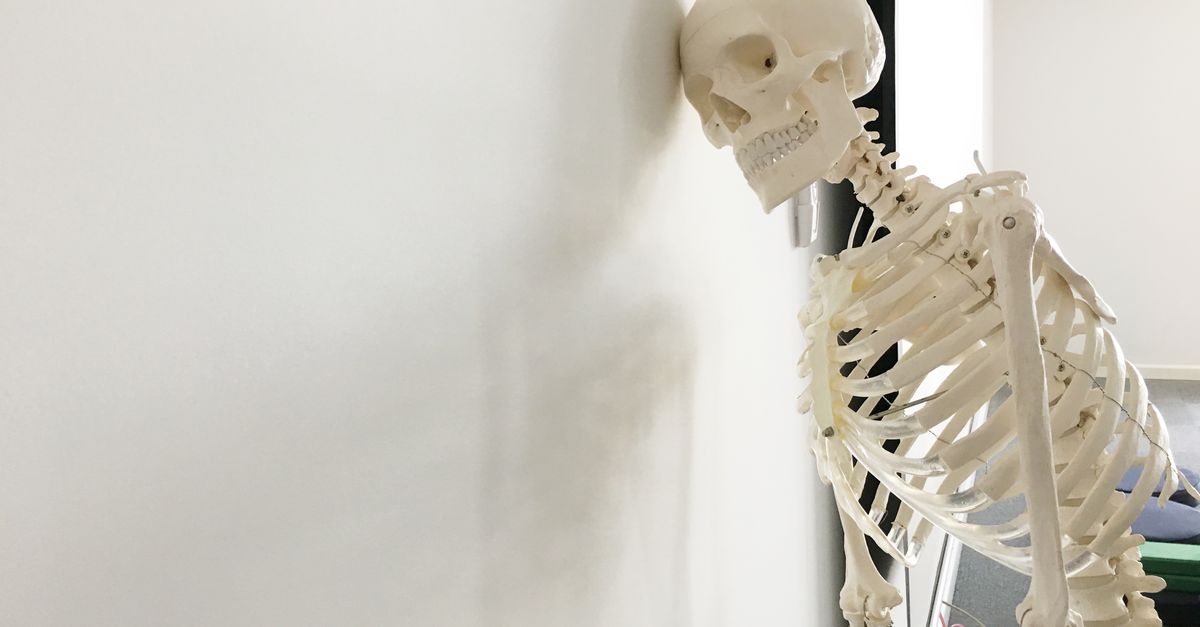 Skeletal Biology Researcher Explains Bone Loss in Washington Post Guest Column