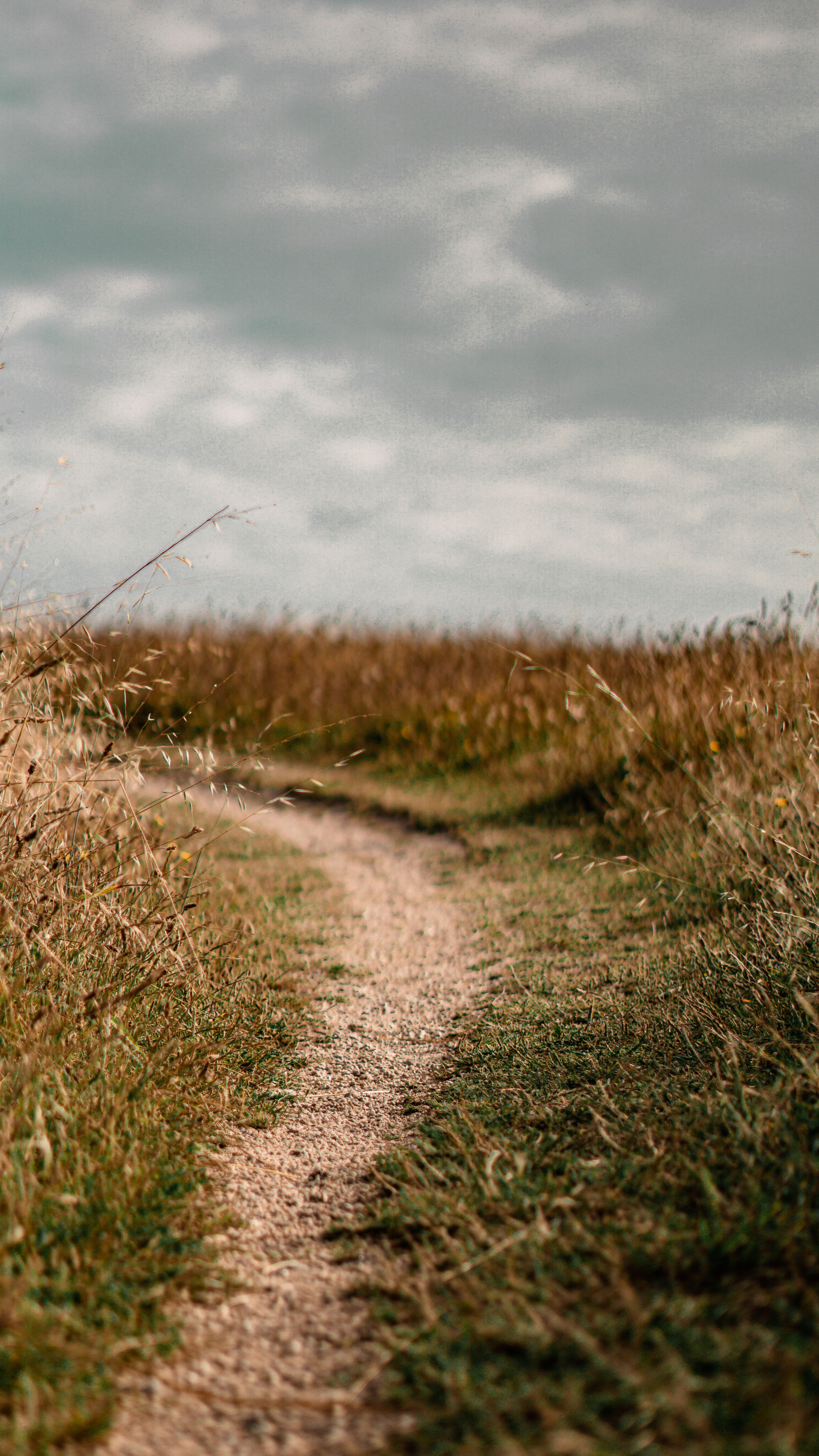 Green Grass Field Under Cloudy Sky · Free Stock Photo