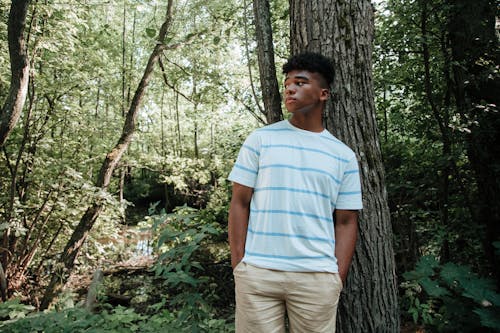 Fotos de stock gratuitas de adolescente, arboles, bosque