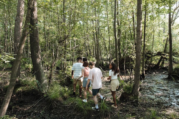 Group Of Teenagers Walking Through Forest