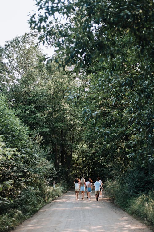 Group of People Walking on the Road Between Green Trees