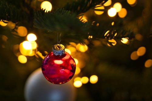 Free A red bauble hanging on a Christmas tree with warm golden lights creating a festive atmosphere. Stock Photo