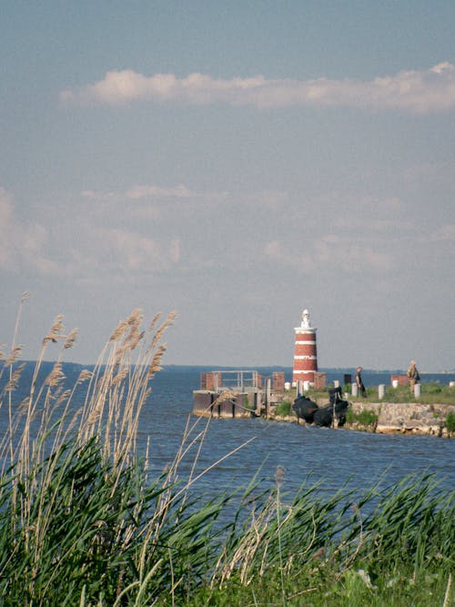 White and Brown Lighthouse on the Shore