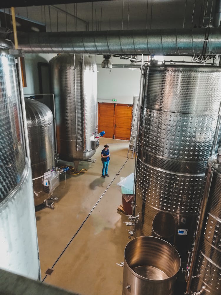 A Woman Standing Inside The Winery